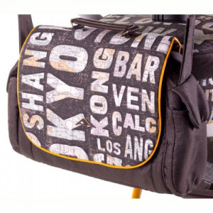 Коляска универсальная Adamex Aspena World Collection 2 в 1