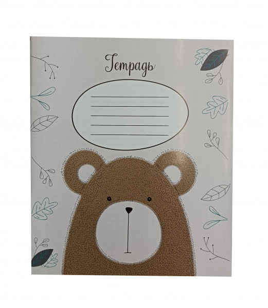 Комплект тетрадей в клетку Полиграфист (Бендеры), цветная обложка, 12 листов, 5шт.