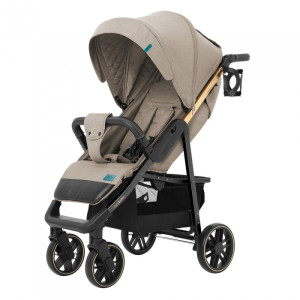 Коляска прогулочная CARRELLO Echo CRL-8508/2