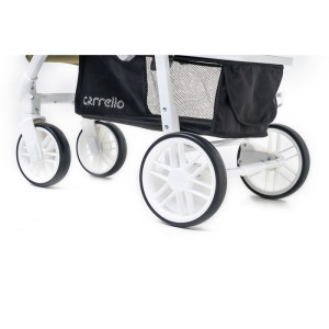 Коляска прогулочная CARRELLO Echo CRL-8508