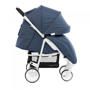 Коляска прогулочная CARRELLO Echo CRL-8508