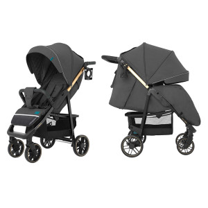 Коляска прогулочная CARRELLO Echo CRL-8508/2