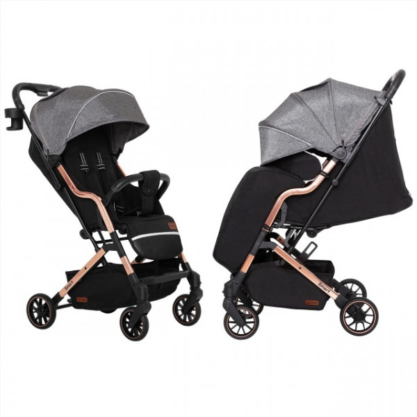 Коляска прогулочная Carrello Smart CRL-5504, дождевик