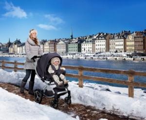 Коляска универсальная Chicco Duo Arctic 2в1, зимние колеса