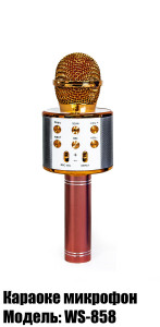 Микрофон для домашнего караоке WS-858