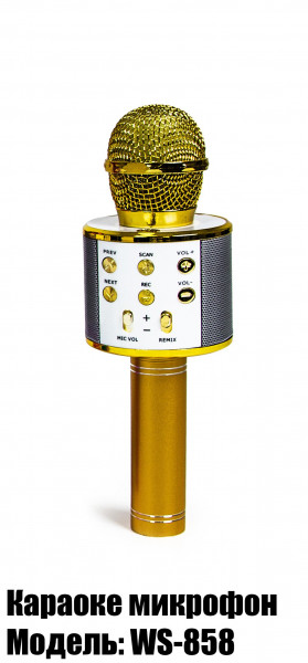 Микрофон для домашнего караоке WS-858