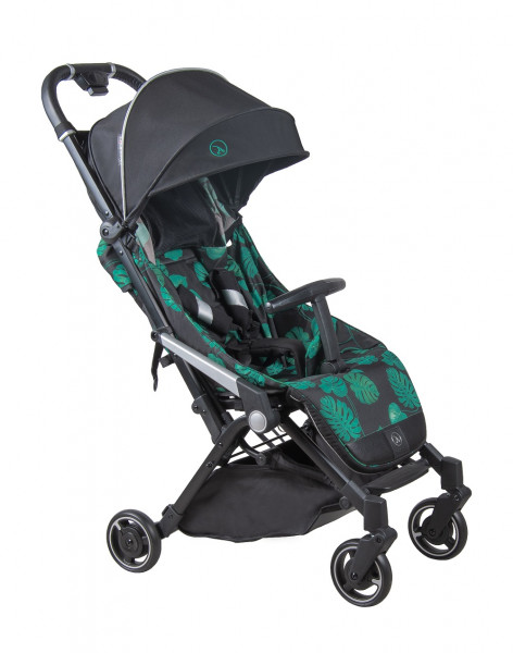 Коляска прогулочная Coletto Lanza