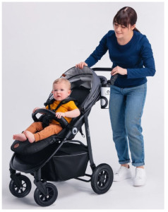 Коляска прогулочная Lionelo Natt