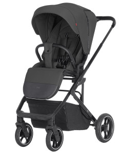 Коляска прогулочная Carrello Alfa, 2025г