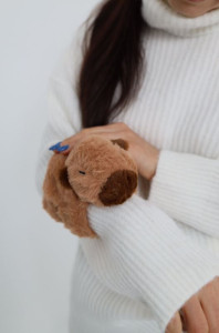 Мягкая игрушка Капибара, 18 см