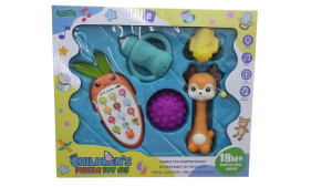 Набор игрушек Hildrens Puzzle Toy Set : Телефон, погремушки, мячик, звук/свет