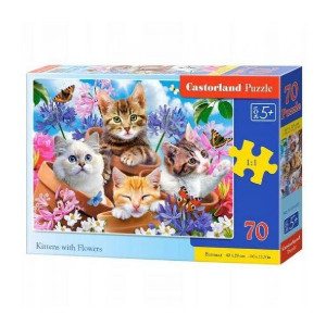 Пазлы детские Castorland Midi, 40х29 см, 70 элементов
