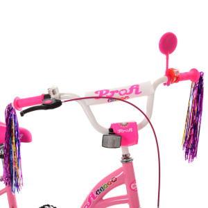 Велосипед двухколесный PROF1 KIDS Bloom Y202, 20 дюймов