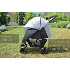 Прогулочная коляска Carrello Forte CRL-1408, коллекция 2016 г.