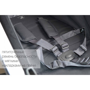 Прогулочная коляска Carrello Perfetto CRL-8503