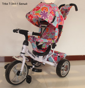 Велосипед Tilly Trike T-344, трехколесный
