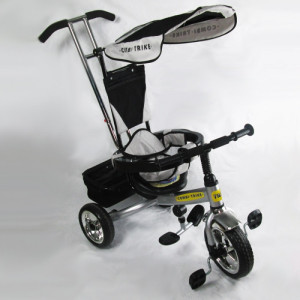 Велосипед Tilly Combi-Trike BT-CT-0001, трехколесный