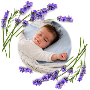 Термофор из вишневых косточек Babyono CHERRY