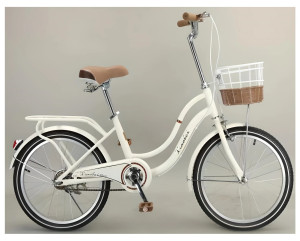 Велосипед двухколесный TyBike DF-02, стальная рама, 20 дюймов