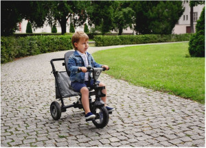 Велосипед трехколесный Lionelo Tris, 360градусов, складной