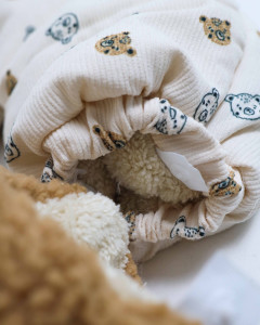 Комбинезон еврозима Мишка, унисекс, вельвет, подкладка велсофт, 6-24 м