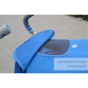 Прогулочная коляска трость Tilly Rider SB-0002